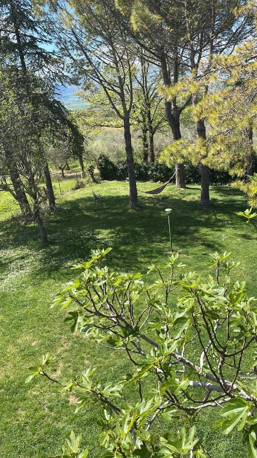 B&B Margherita Montefalco Dış mekan fotoğraf